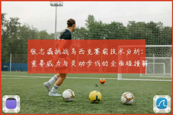 张志磊挑战乌西克赛前技术分析:重拳威力与灵动步伐的全面碰撞解读