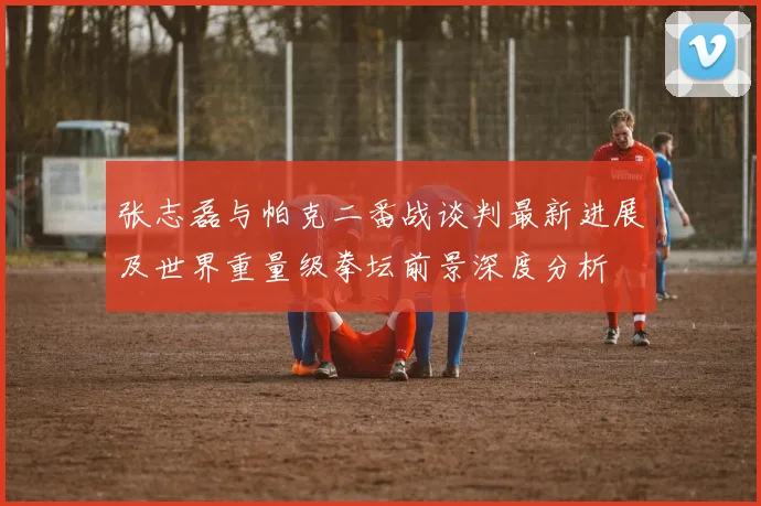 张志磊与帕克二番战谈判最新进展及世界重量级拳坛前景深度分析